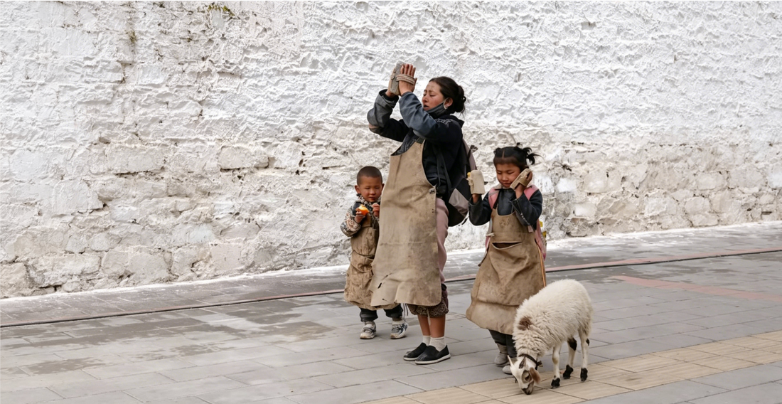 Why Does Buddhism Teach the Equality of All Beings? How Tibetan Buddhism Understands Life, Compassion, and the Natural World