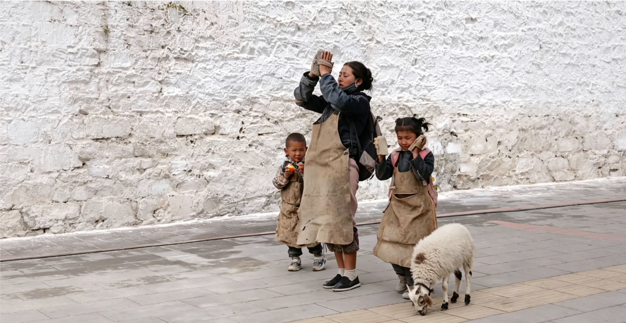 Why Does Buddhism Teach the Equality of All Beings? How Tibetan Buddhism Understands Life, Compassion, and the Natural World