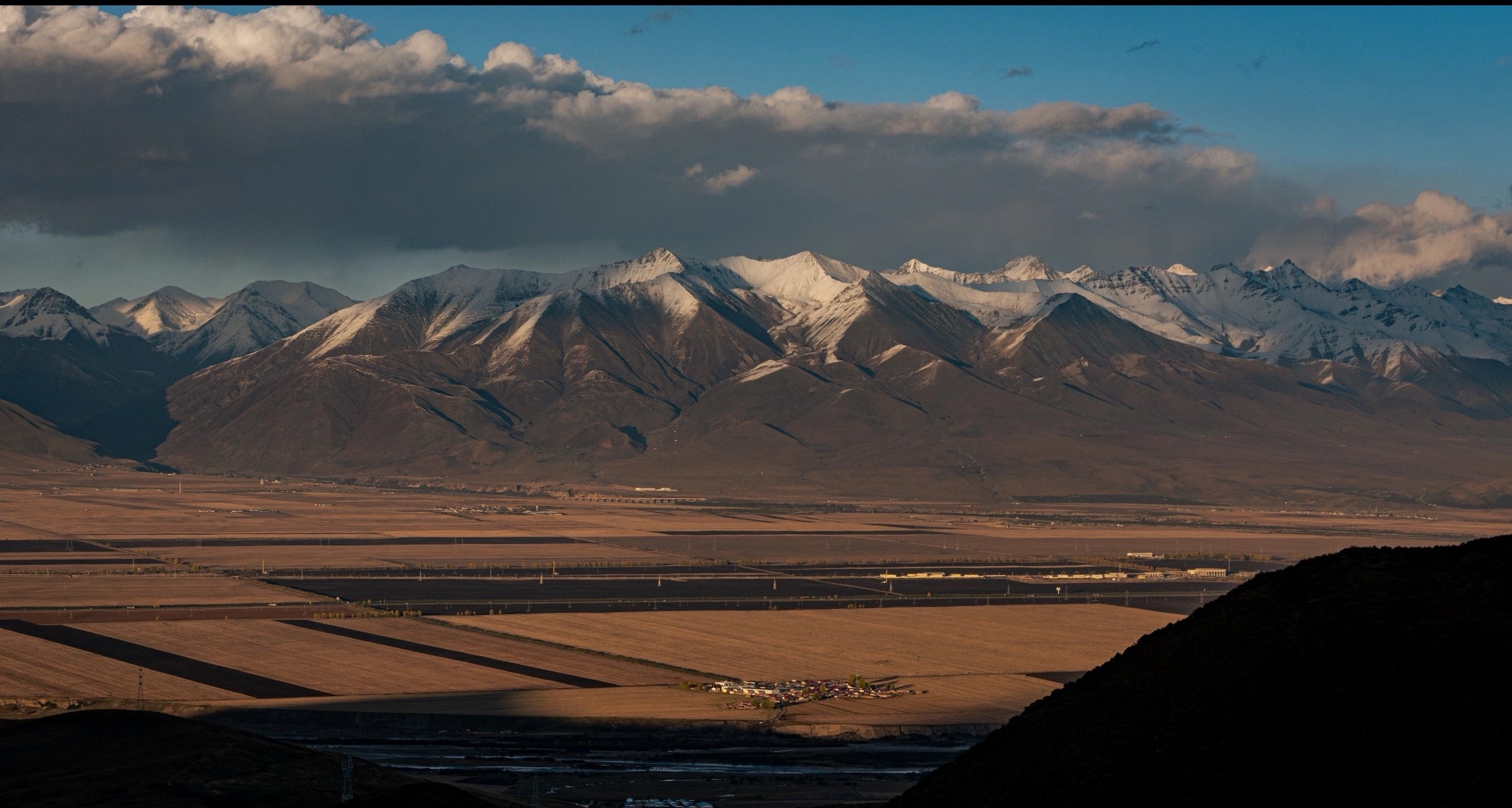 How Have Tibetans Thrived on the Roof of the World for Centuries? Traditional Tibetan Medicine, Wild Cordyceps, and the Wisdom of Plateau Wellness