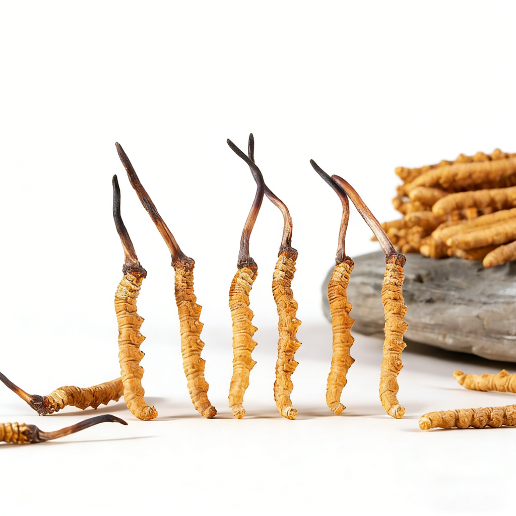 Premium Large Whole Wild Cordyceps Sinensis, 150 Pieces, Gift Box Packed | Tibetan Natural Dried Cordyceps from 4000m Altitude Qinghai-Tibet Plateau