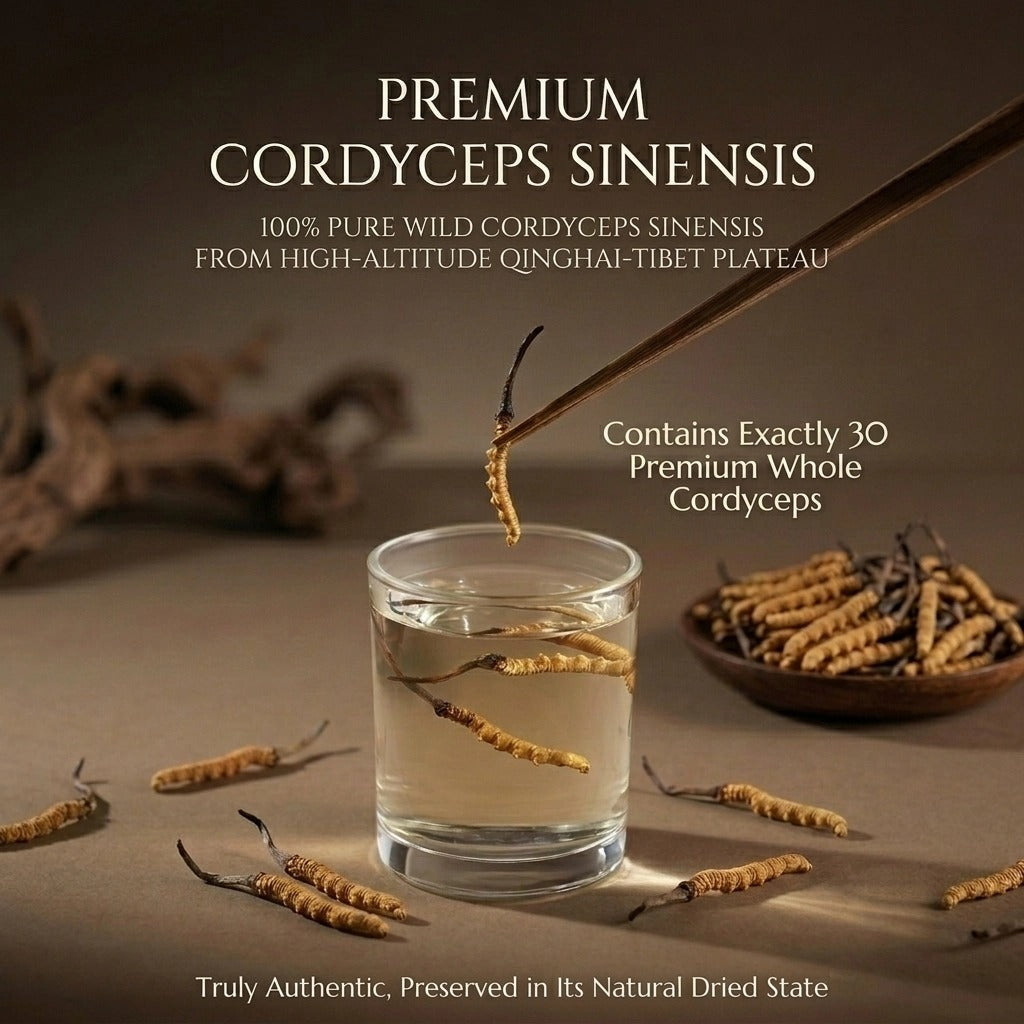Whole Wild Cordyceps (30pcs) | Natural Dried from 4000m Qinghai-Tibet Plateau, Tibetan Origin